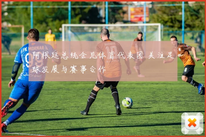 阿根廷总统会见体育代表团 关注足球发展与赛事合作