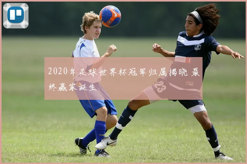 2020年足球世界杯冠军归属揭晓 最终赢家诞生