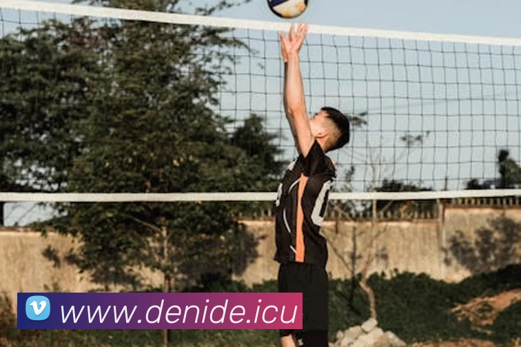 云开体app官网入口下载(中国)有限公司 - 官网全站App